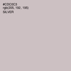 #CDC0C3 - Silver Color Image