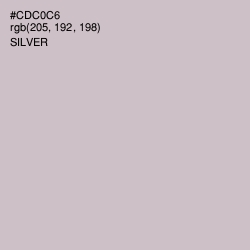 #CDC0C6 - Silver Color Image