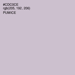 #CDC0CE - Pumice Color Image
