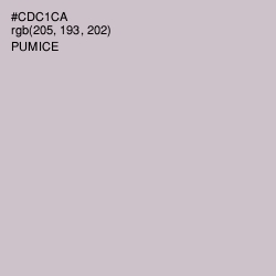 #CDC1CA - Pumice Color Image