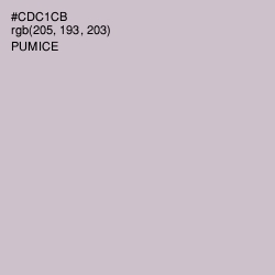 #CDC1CB - Pumice Color Image