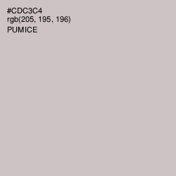 #CDC3C4 - Pumice Color Image