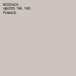 #CDC4C0 - Pumice Color Image
