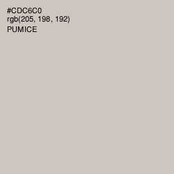 #CDC6C0 - Pumice Color Image