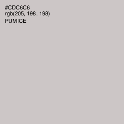 #CDC6C6 - Pumice Color Image