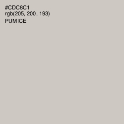 #CDC8C1 - Pumice Color Image