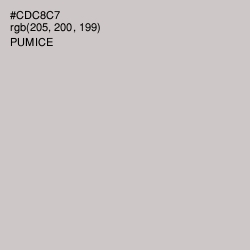 #CDC8C7 - Pumice Color Image