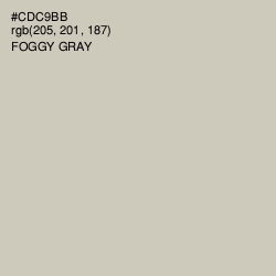 #CDC9BB - Foggy Gray Color Image