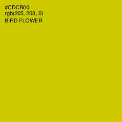 #CDCB00 - Bird Flower Color Image