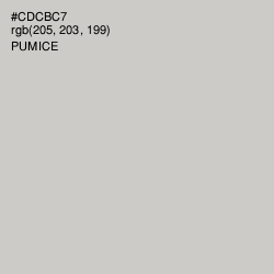 #CDCBC7 - Pumice Color Image