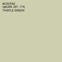 #CDCFAE - Thistle Green Color Image