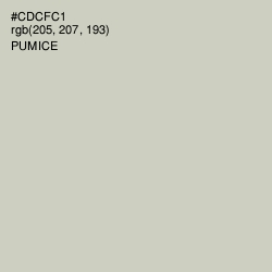 #CDCFC1 - Pumice Color Image
