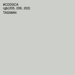 #CDD0CA - Tasman Color Image