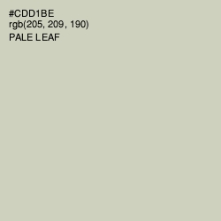 #CDD1BE - Pale Leaf Color Image