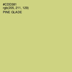 #CDD381 - Pine Glade Color Image