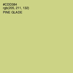 #CDD384 - Pine Glade Color Image