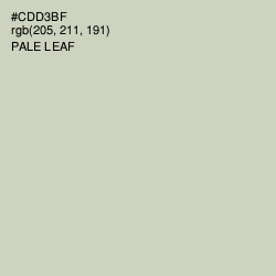 #CDD3BF - Pale Leaf Color Image