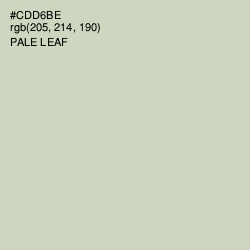 #CDD6BE - Pale Leaf Color Image