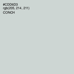 #CDD6D3 - Conch Color Image