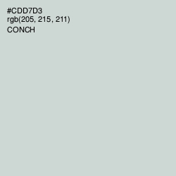 #CDD7D3 - Conch Color Image