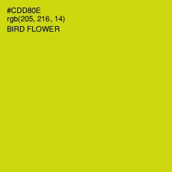 #CDD80E - Bird Flower Color Image