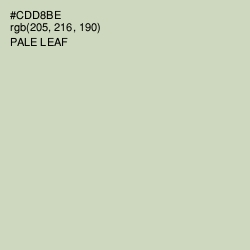 #CDD8BE - Pale Leaf Color Image