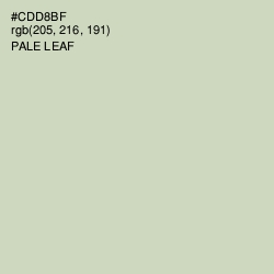 #CDD8BF - Pale Leaf Color Image