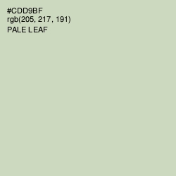 #CDD9BF - Pale Leaf Color Image