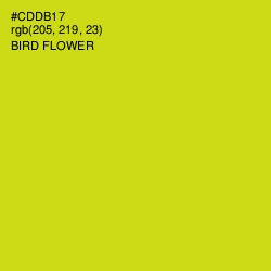 #CDDB17 - Bird Flower Color Image