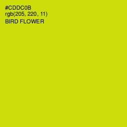 #CDDC0B - Bird Flower Color Image