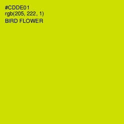 #CDDE01 - Bird Flower Color Image