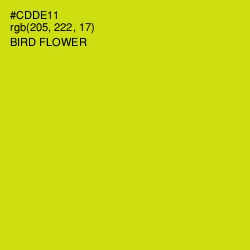 #CDDE11 - Bird Flower Color Image