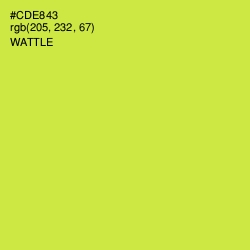 #CDE843 - Wattle Color Image