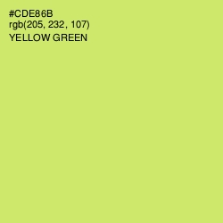 #CDE86B - Yellow Green Color Image