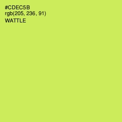 #CDEC5B - Wattle Color Image