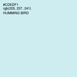 #CDEDF1 - Humming Bird Color Image
