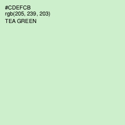 #CDEFCB - Tea Green Color Image