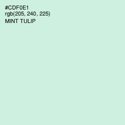 #CDF0E1 - Mint Tulip Color Image