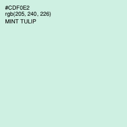 #CDF0E2 - Mint Tulip Color Image