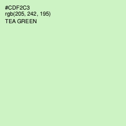 #CDF2C3 - Tea Green Color Image