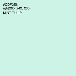 #CDF2E6 - Mint Tulip Color Image