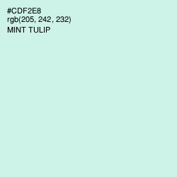 #CDF2E8 - Mint Tulip Color Image