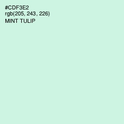 #CDF3E2 - Mint Tulip Color Image