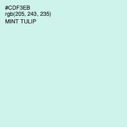 #CDF3EB - Mint Tulip Color Image