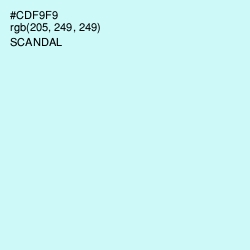 #CDF9F9 - Scandal Color Image