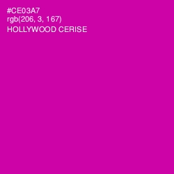 #CE03A7 - Hollywood Cerise Color Image