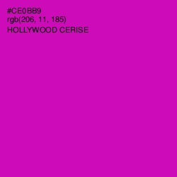 #CE0BB9 - Hollywood Cerise Color Image