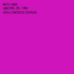 #CE14BA - Hollywood Cerise Color Image