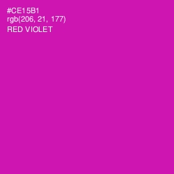 #CE15B1 - Red Violet Color Image