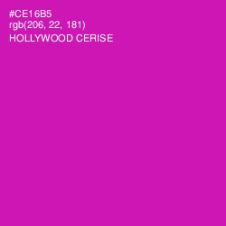 #CE16B5 - Hollywood Cerise Color Image